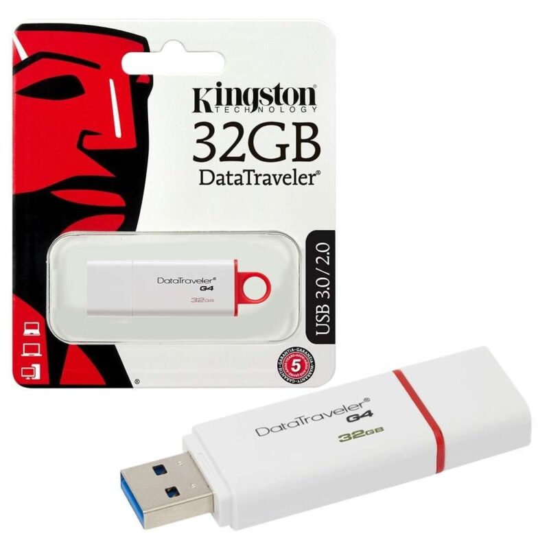 Memoria USB Kingston DTG4