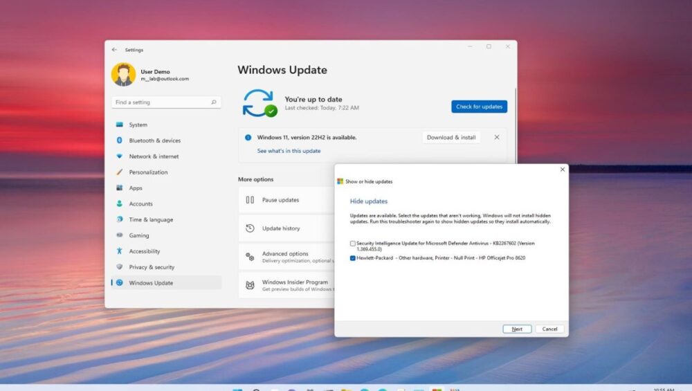 Ilustración de la actualización de Windows 11 con la opción de eliminar aplicaciones preinstaladas.