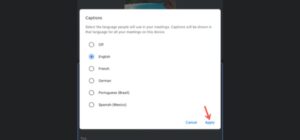 Interfaz de Google Meet mostrando subtítulos en vivo